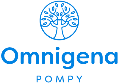 POMPA HYDROFOROWA 60l/min. h-50M 1,1KW + OSPRZET