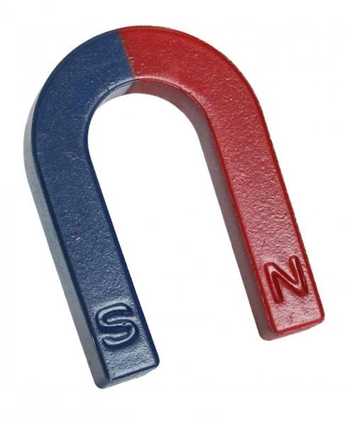 MAGNES PODKOWIASTY SZKOLNY N/S 79X62X19MM