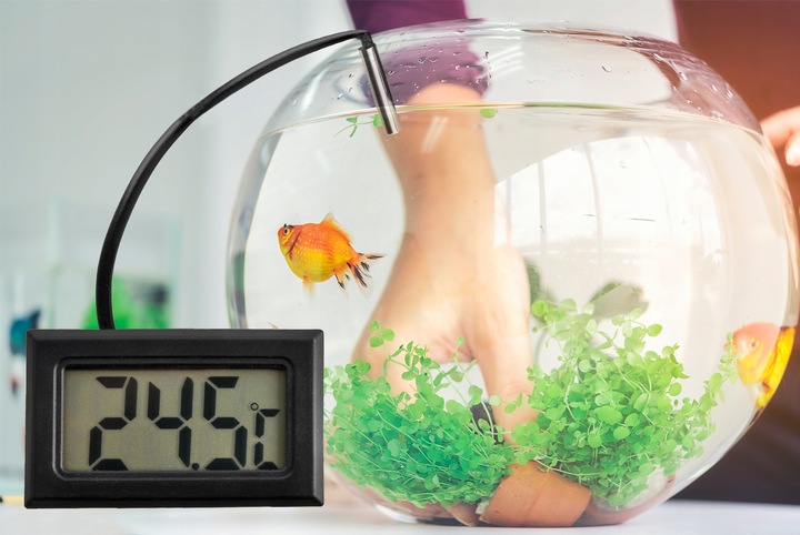 TERMOMETR ELEKTRONICZNY LCD Z SONDĄ T110 FY-10 L = 10 m