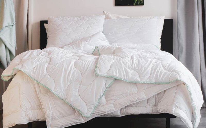 Aloe Vera - zestaw Kołdra 220x200 + 2 poduszki 