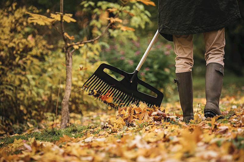 GRABIE FISKARS DO LIŚCI XCAT XXL