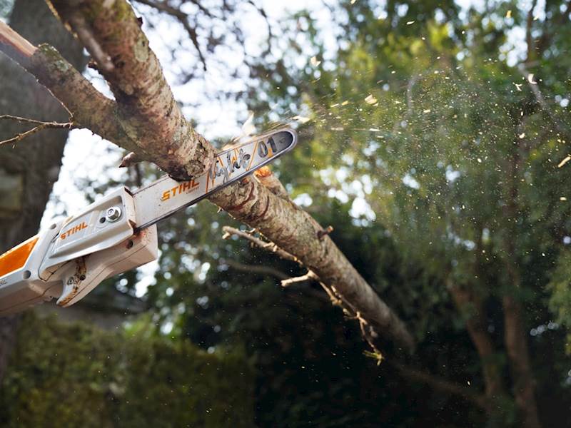 PODKRZESYWARKA STIHL AKU HTA 50 AK20+AL101 /AK