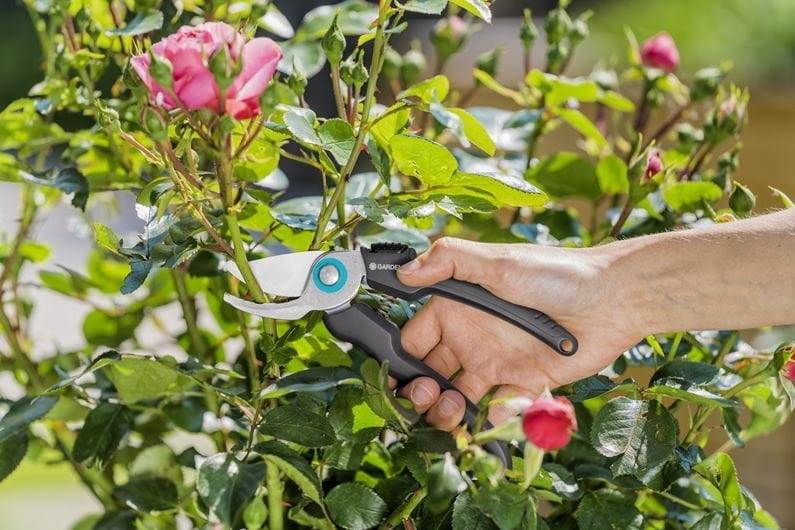 SEKATOR GARDENA ECOLINE