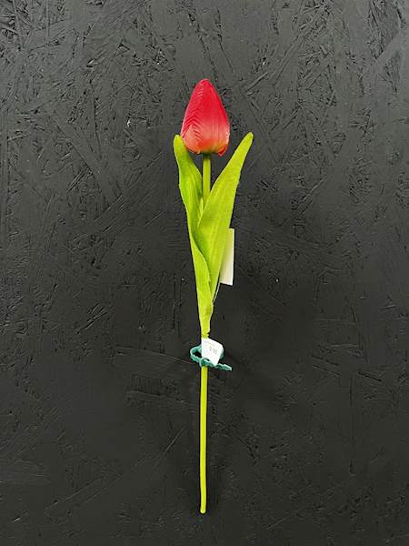 TULIPAN POJEDYŃCZY CZERWONY 35cm