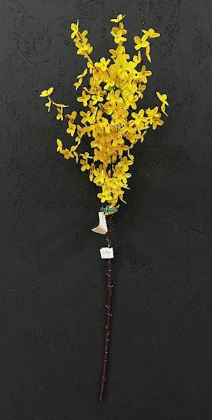 FORSYCJA GAŁĄZKA 78cm