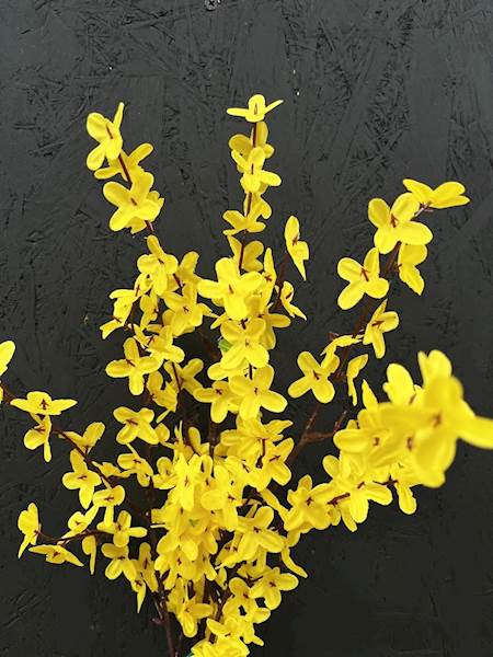 FORSYCJA GAŁĄZKA 78cm
