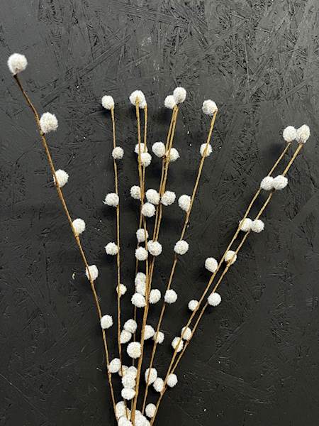 BAZIE PĘCZEK 50cm