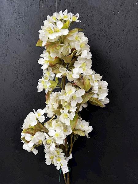 JABŁOŃ GAŁĄZKA 90cm