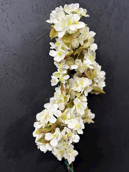 JABŁOŃ GAŁĄZKA 90cm