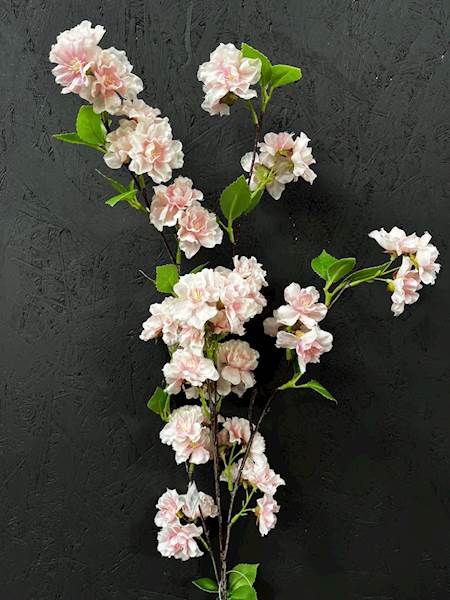 JABŁOŃ GAŁĄZKA 90cm