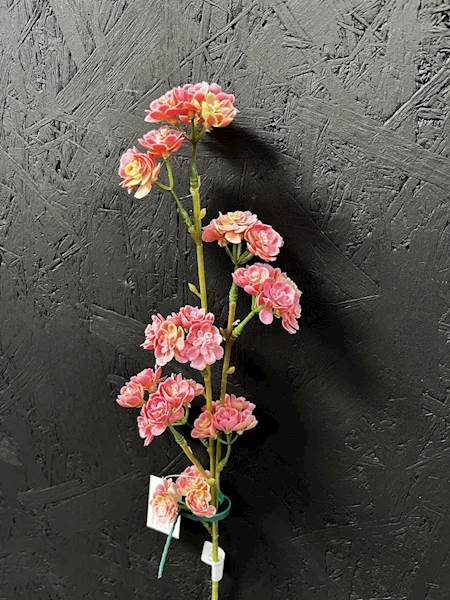 GAŁĄZKA KWITNĄCA - róż 60cm
