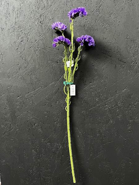 ZATRWIAN GAŁĄZKA FIOLETOWA 62cm