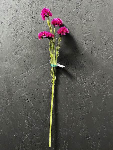ZATRWIAN GAŁĄZKA PURPUROWA 62cm