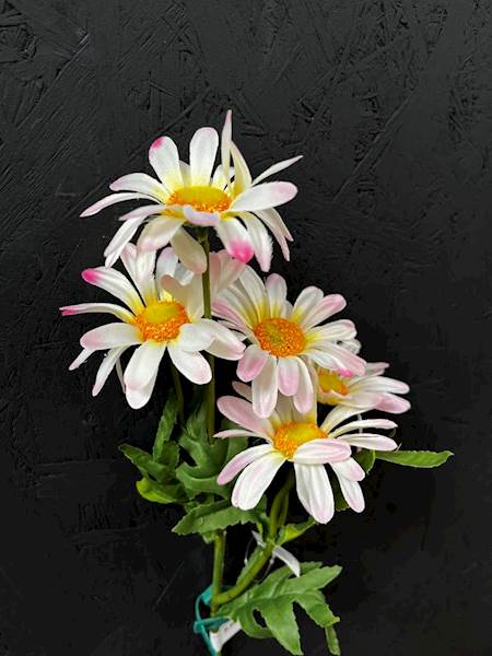RUMIANEK GAŁĄZKA 50cm