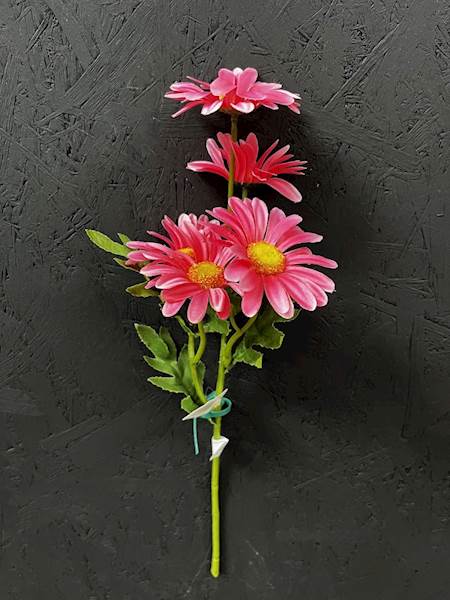 RUMIANEK GAŁĄZKA róż 50cm