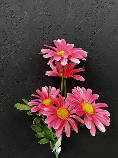 RUMIANEK GAŁĄZKA róż 50cm