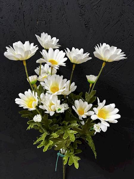 MARGARETKA ŁODYGA biała 68cm