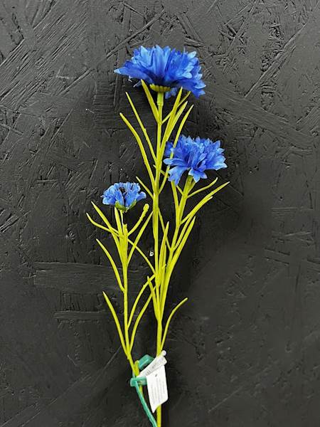 CHABER GAŁĄZKA 69cm