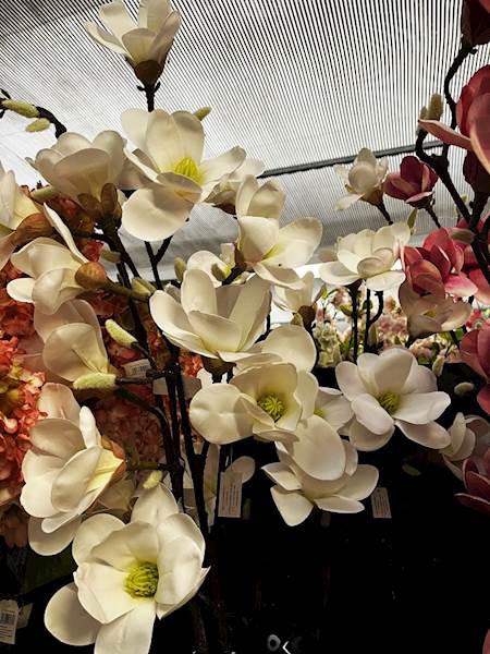 MAGNOLIA GAŁĄZKA biała x7 100cm