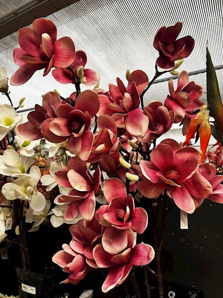 MAGNOLIA GAŁĄZKA różowa x7 100cm