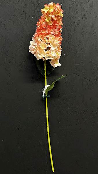 HORTENSJA POJEDYŃCZA 85cm