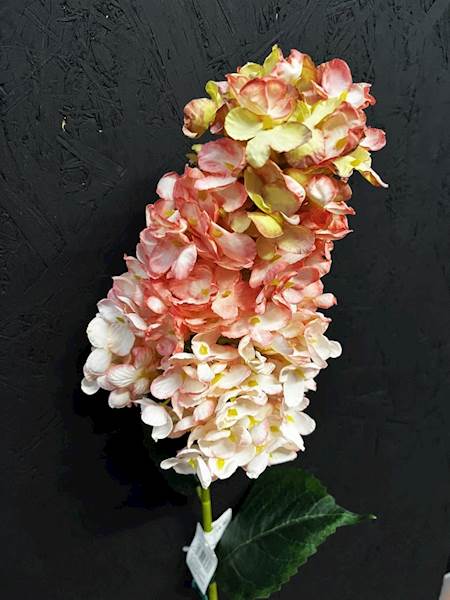 HORTENSJA POJEDYŃCZA 85cm