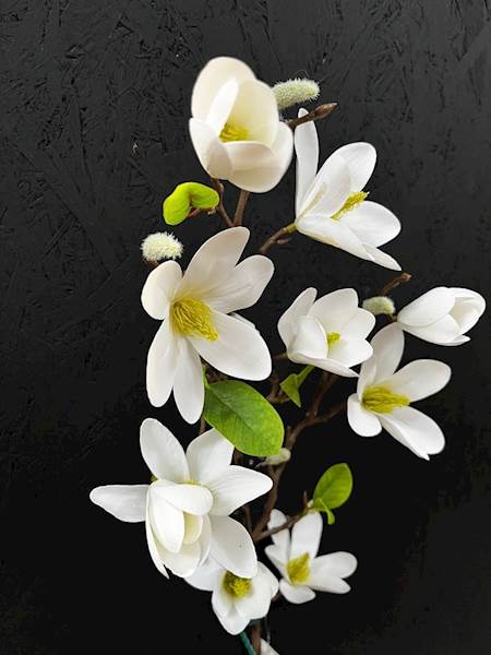 MAGNOLIA GAŁĄZKA biała 82cm