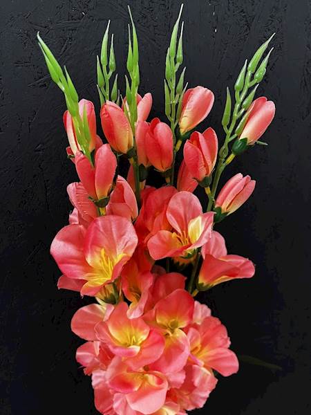 MIECZYK BUKIET łososiowy 68cm