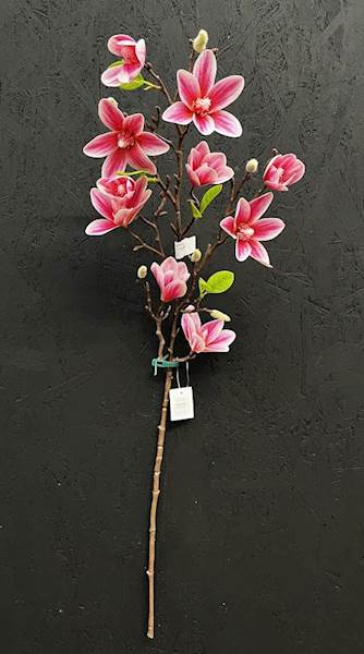 MAGNOLIA GAŁĄZKA 82cm