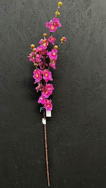 JABŁOŃ GAŁĄZKA 80cm