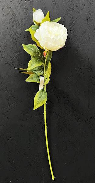 PIWONIA NA ŁODYDZE biała 65cm