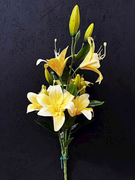 LILIA żółta BUKIET 68cm