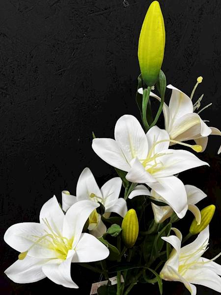 LILIA biała BUKIET 68cm