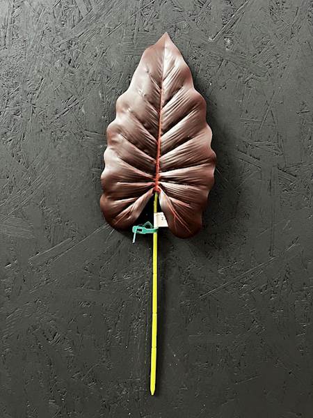 KALLA LIŚĆ 53cm