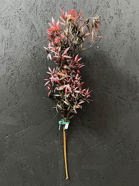 GAŁĄZKA DEKORACYJNA 50cm