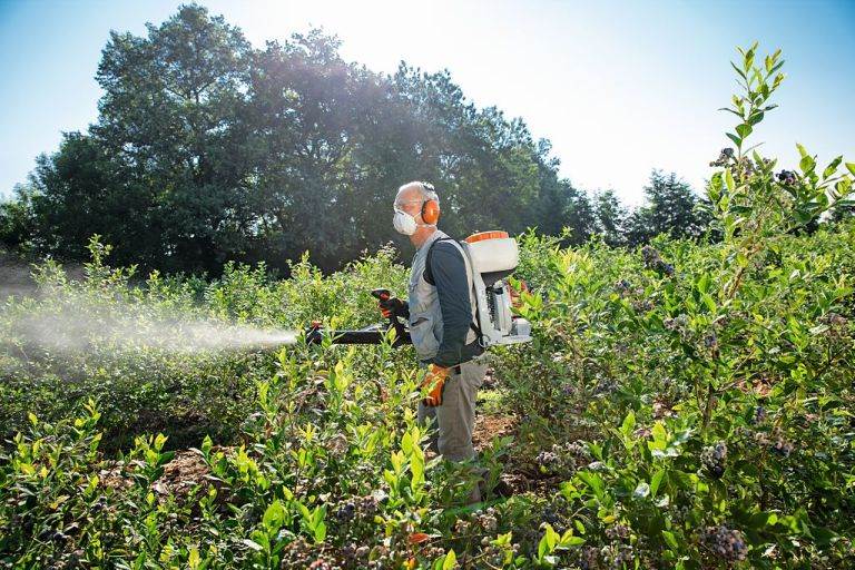 OPRYSKIWACZ SPALINOWY STIHL SR 430