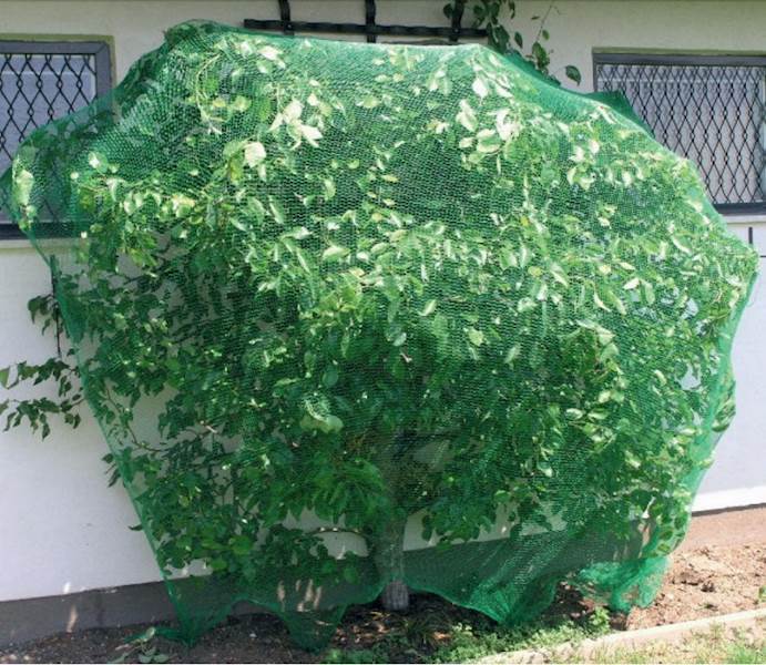 SIATKA OCHR.P/PTAKOM 10X4M ZIELONA (30423)