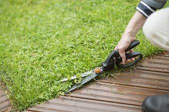 NOŻYCE DO TRAWY FISKARS GS40 SmartFit