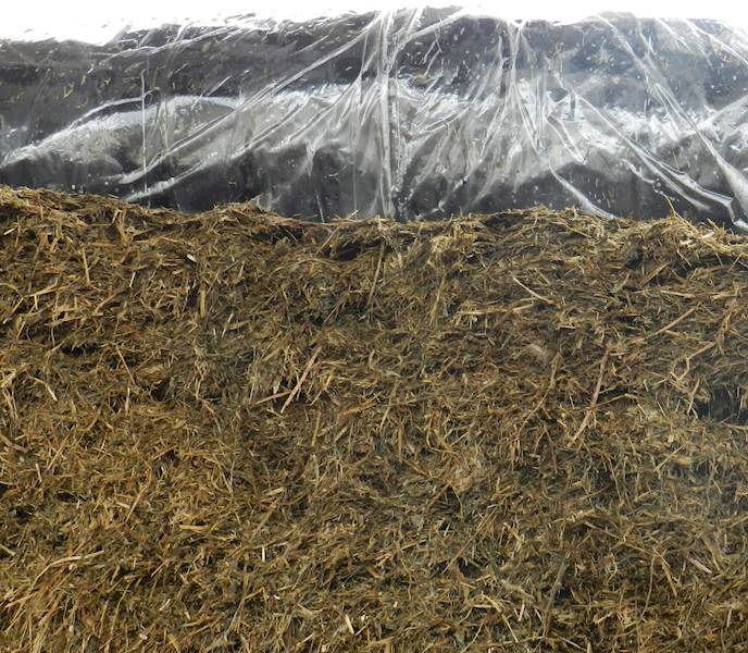Siltech 100g