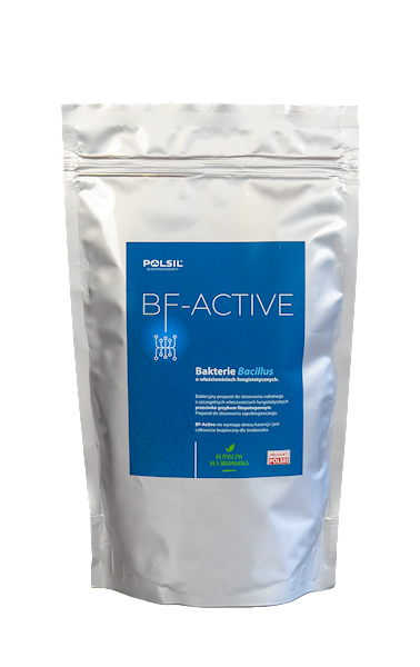 BF-Active 500g