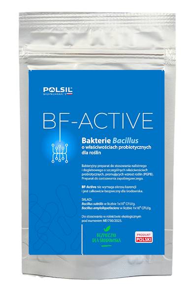 BF-Active 100g