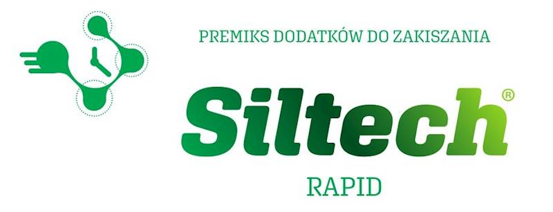 Siltech Rapid 100g