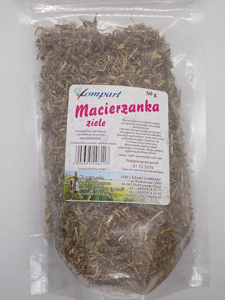 Macierzanka ziele 50g Lompart