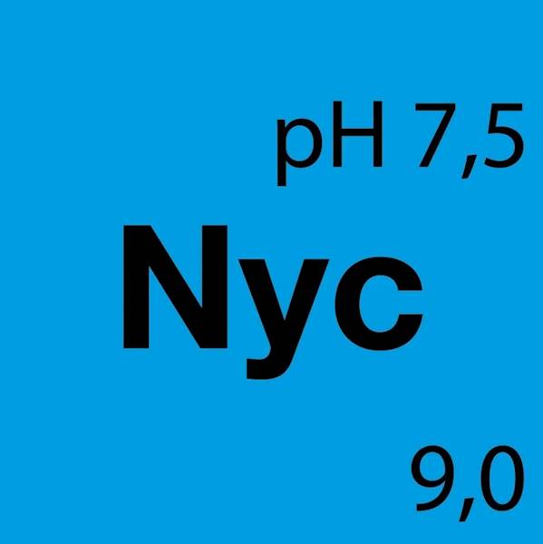KOCH MARINE - NYC No Yellow Cleaner 1L