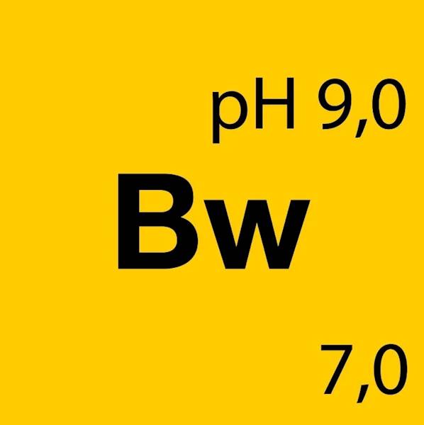 KOCH MARINE - BW Boat Wash 1L