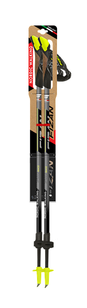 kije FIZAN N/SPEED RACE grey