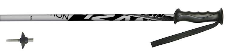 kije FIZAN narciarskie ACTION JR silver 110