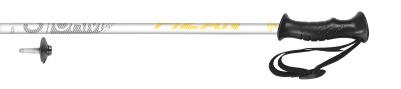kije FIZAN narciarskie STORM white 130