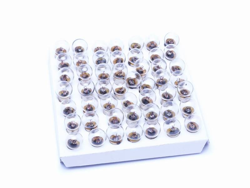 Żarówka rowerowa przednia 6V 2.4W