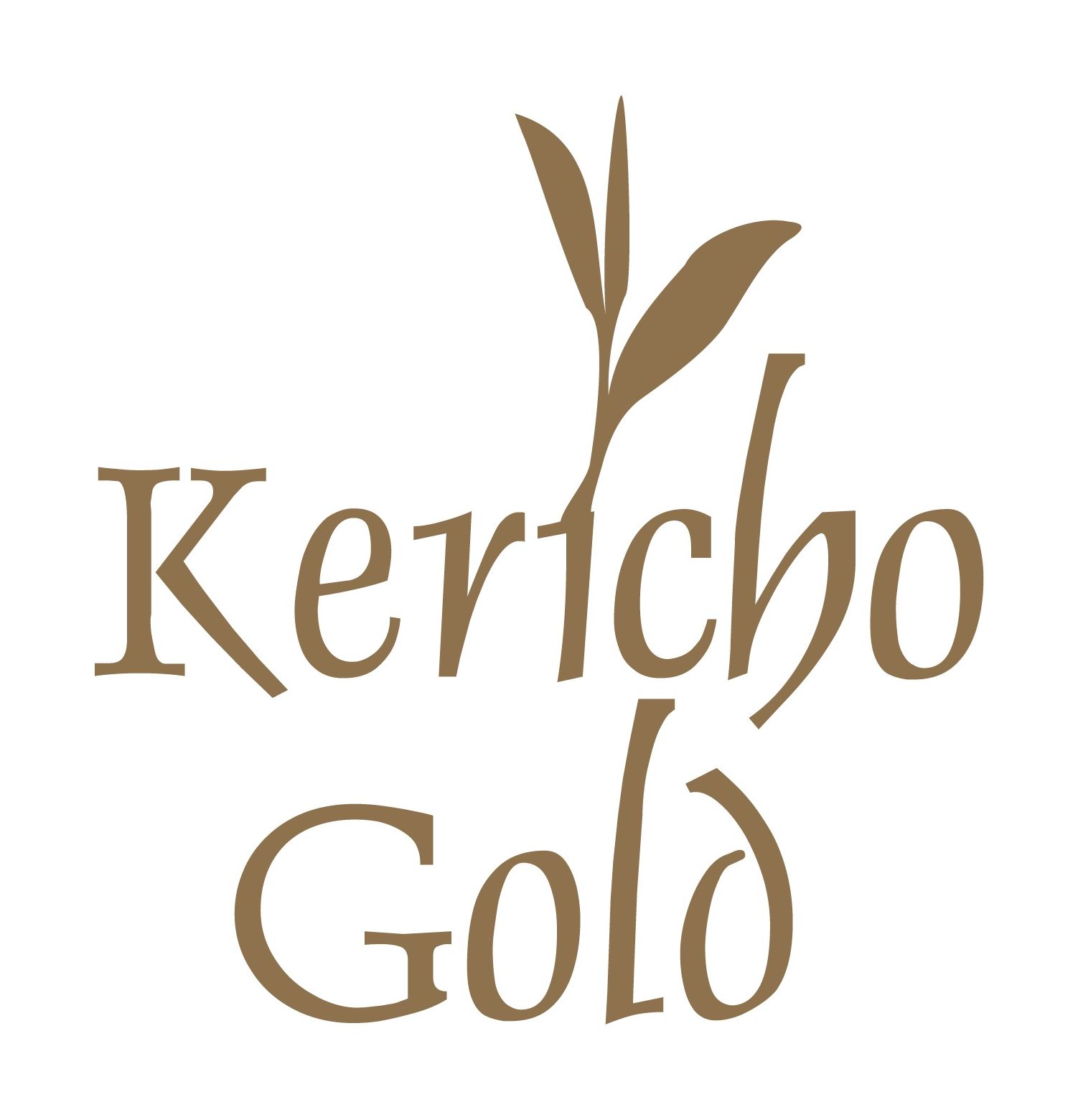 logo_kericho.jpg